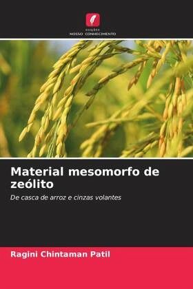 Material mesomorfo de zeólito Material mesomorfo de zeólito