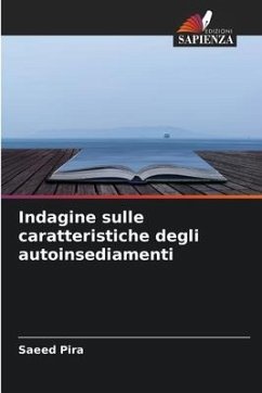 Indagine sulle caratteristiche degli autoinsediamenti - Pira, Saeed