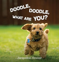 DOODLE, DOODLE, WHAT ARE YOU? - Zimmer, Jacqueline
