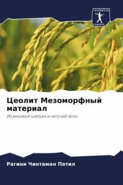 Ceolit Mezomorfnyj material Cover Ceolit Mezomorfnyj material