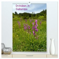 Orchideen in Südeuropa (hochwertiger Premium Wandkalender 2024 DIN A2 hoch), Kunstdruck in Hochglanz - Trapp, Benny