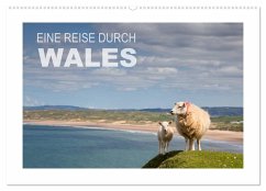 Eine Reise durch Wales (Wandkalender 2024 DIN A2 quer), CALVENDO Monatskalender - Steiner & Günter Hofmann, Ingrid