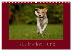 Faszination Hund (Wandkalender 2024 DIN A3 quer), CALVENDO Monatskalender - Bischof, Tierfotografie Bischof, Melanie