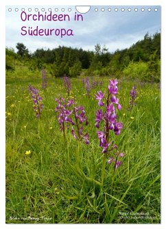 Orchideen in Südeuropa (Wandkalender 2024 DIN A4 hoch), CALVENDO Monatskalender