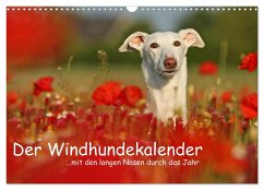 Der Windhundekalender (Wandkalender 2024 DIN A3 quer), CALVENDO Monatskalender - Köntopp, Kathrin