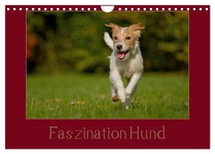 Faszination Hund (Wandkalender 2024 DIN A4 quer), CALVENDO Monatskalender