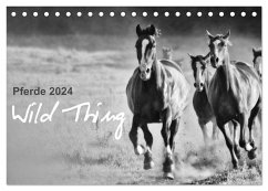 Pferde 2024 Wild Thing (Tischkalender 2024 DIN A5 quer), CALVENDO Monatskalender