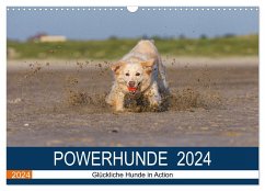 POWERHUNDE 2024 (Wandkalender 2024 DIN A3 quer), CALVENDO Monatskalender - Mirsberger, Annett