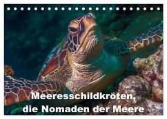 Meeresschildkröten, die Nomaden der Meere (Tischkalender 2024 DIN A5 quer), CALVENDO Monatskalender