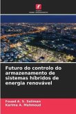 Futuro do controlo do armazenamento de sistemas híbridos de energia renovável