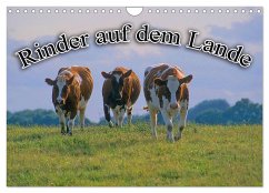 Rinder auf dem Lande (Wandkalender 2024 DIN A4 quer), CALVENDO Monatskalender - Geduldig, Bildagentur