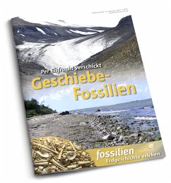 Geschiebe-Fossilien - Lehmann, Jens