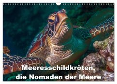 Meeresschildkröten, die Nomaden der Meere (Wandkalender 2024 DIN A3 quer), CALVENDO Monatskalender