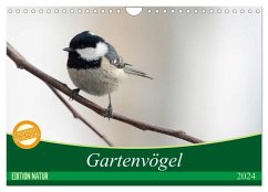 Gartenvögel (Wandkalender 2024 DIN A4 quer), CALVENDO Monatskalender - Schötz, Samashy-Romy