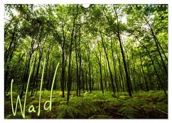 Wald (Wandkalender 2024 DIN A3 quer), CALVENDO Monatskalender