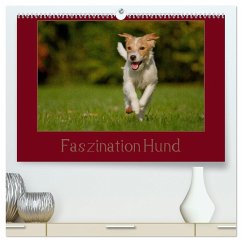 Faszination Hund (hochwertiger Premium Wandkalender 2024 DIN A2 quer), Kunstdruck in Hochglanz