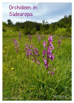 Orchideen in Südeuropa (Wandkalender 2024 DIN A2 hoch), CALVENDO Monatskalender