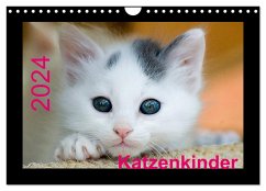Katzenkinder (Wandkalender 2024 DIN A4 quer), CALVENDO Monatskalender