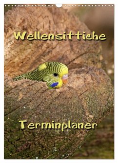 Wellensittiche Terminplaner (Wandkalender 2024 DIN A3 hoch), CALVENDO Monatskalender