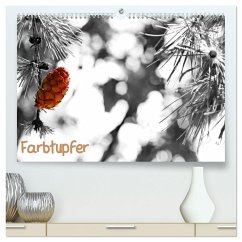 Farbtupfer (hochwertiger Premium Wandkalender 2024 DIN A2 quer), Kunstdruck in Hochglanz