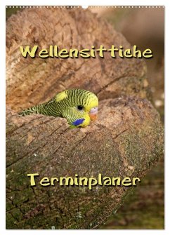 Wellensittiche Terminplaner (Wandkalender 2024 DIN A2 hoch), CALVENDO Monatskalender