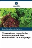 Verwertung organischer Ressourcen auf dem Gemüsefeld in Mahajanga