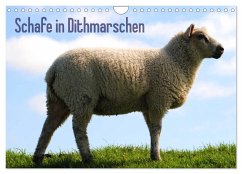 Schafe in Dithmarschen (Wandkalender 2024 DIN A4 quer), CALVENDO Monatskalender