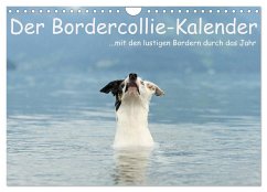 Der Bordercollie-Kalender (Wandkalender 2024 DIN A4 quer), CALVENDO Monatskalender