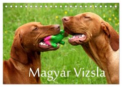 Magyar Vizsla (Tischkalender 2024 DIN A5 quer), CALVENDO Monatskalender