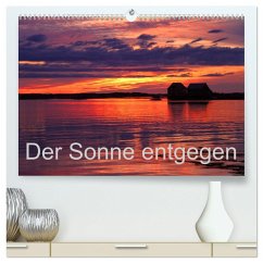 Der Sonne entgegen (hochwertiger Premium Wandkalender 2024 DIN A2 quer), Kunstdruck in Hochglanz