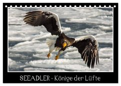 Seeadler - Könige der Lüfte (Tischkalender 2024 DIN A5 quer), CALVENDO Monatskalender - Schwarz Fotografie, Thomas