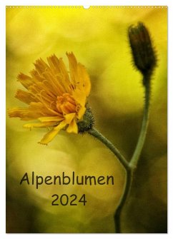 Alpenblumen 2024 (Wandkalender 2024 DIN A2 hoch), CALVENDO Monatskalender - Arnold, Hernegger