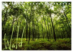 Wald (Tischkalender 2024 DIN A5 quer), CALVENDO Monatskalender