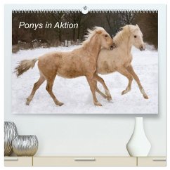 Ponys in Aktion (hochwertiger Premium Wandkalender 2024 DIN A2 quer), Kunstdruck in Hochglanz
