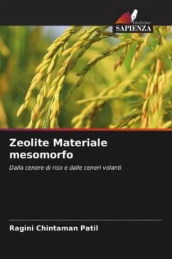 Zeolite Materiale mesomorfo Cover Zeolite Materiale mesomorfo