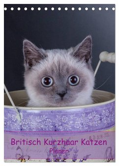 Britisch Kurzhaar Katzen - Planer (Tischkalender 2024 DIN A5 hoch), CALVENDO Monatskalender