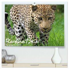Raubkatzen (hochwertiger Premium Wandkalender 2024 DIN A2 quer), Kunstdruck in Hochglanz