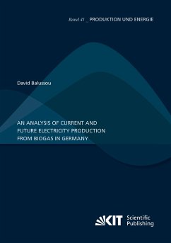 An analysis of current and future electricity production from biogas in Germany - Balussou, David