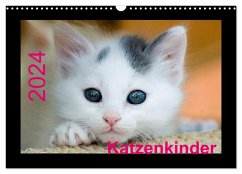 Katzenkinder (Wandkalender 2024 DIN A3 quer), CALVENDO Monatskalender - Weirauch, Michael