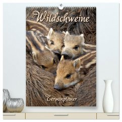 Wildschweine (hochwertiger Premium Wandkalender 2024 DIN A2 hoch), Kunstdruck in Hochglanz - Berg, Martina