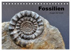Fossilien - Zeugen der Urzeit (Tischkalender 2024 DIN A5 quer), CALVENDO Monatskalender