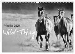 Pferde 2024 Wild Thing (Wandkalender 2024 DIN A3 quer), CALVENDO Monatskalender - Peters, Sabine