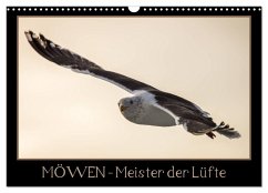 Möwen - Meister der Lüfte (Wandkalender 2024 DIN A3 quer), CALVENDO Monatskalender - Schwarz Fotografie, Thomas