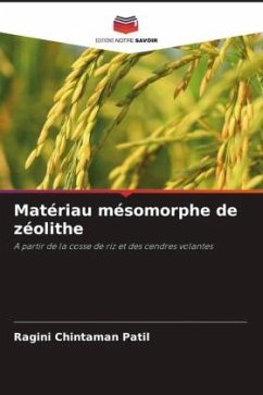 Matériau mésomorphe de zéolithe Cover Matériau mésomorphe de zéolithe