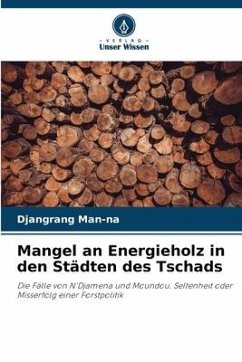 Mangel an Energieholz in den Städten des Tschads - Man-na, Djangrang
