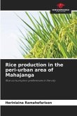 Rice production in the peri-urban area of Mahajanga