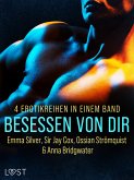 Besessen von dir: 4 Erotikreihen in einem Band (eBook, ePUB)