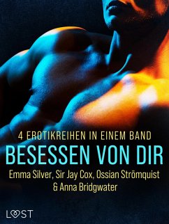 Cover Besessen von dir: 4 Erotikreihen in einem Band (eBook, ePUB)