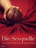 Die Sexquelle und andere heiße Erotik-Kurzgeschichten (eBook, ePUB)