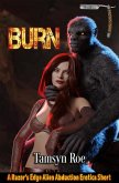 Burn (Sloth King, #1) (eBook, ePUB)